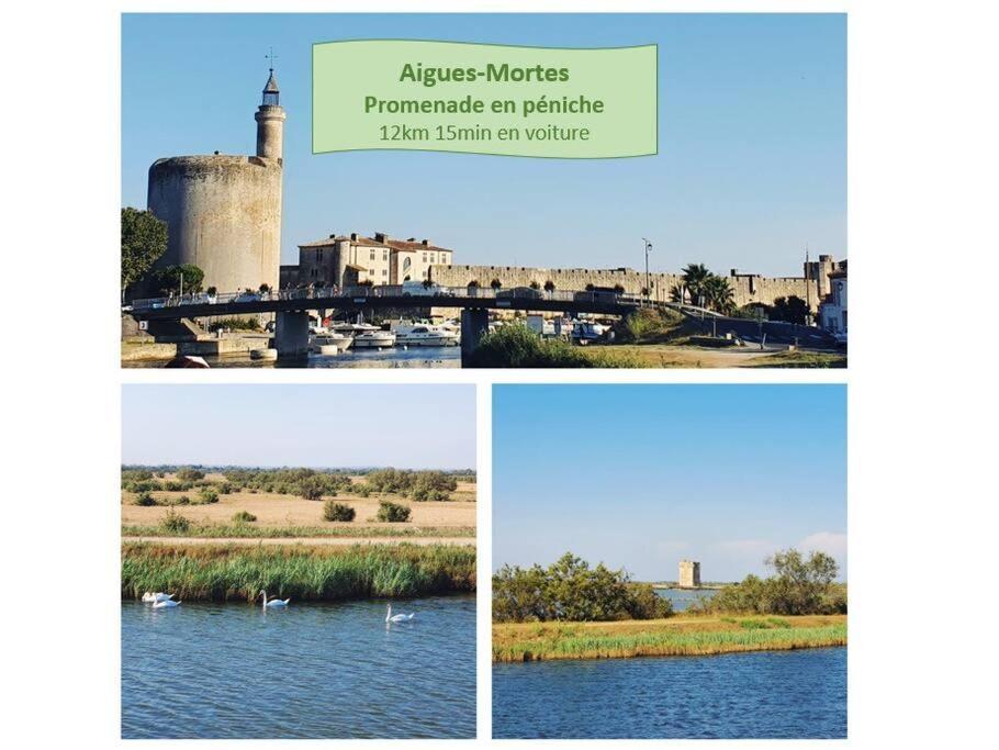 Suite Maya Parking Clim Wifi Centre-Ville Et Port - Rossiconciergerie - Linge Inclus La Grande-Motte Esterno foto